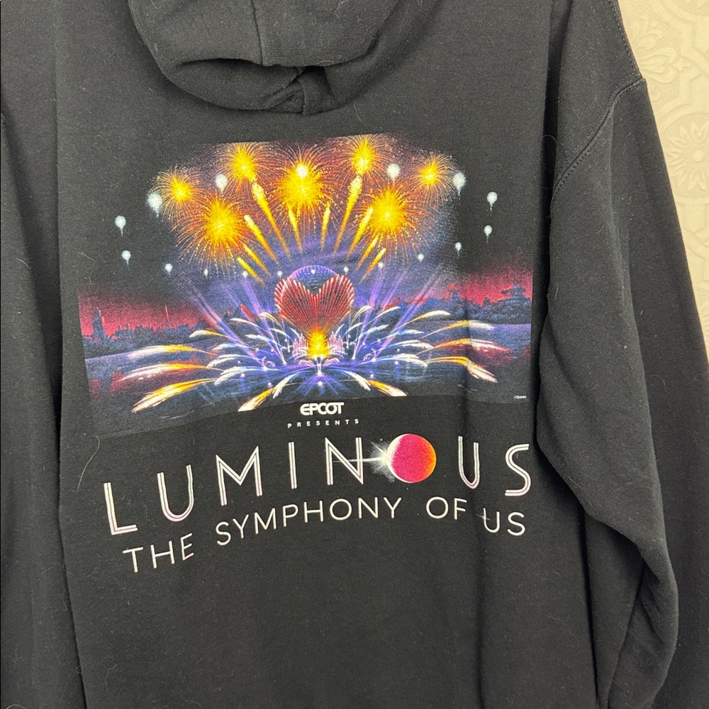 Walt Disney World EPCOT Merch Luminous Symphony Hoodie Pullover Sweatshirt Large - Picture 3 of 5